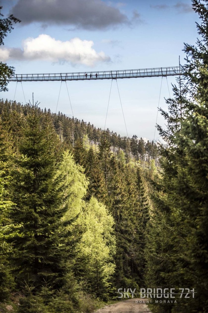 Sky Bridge 721