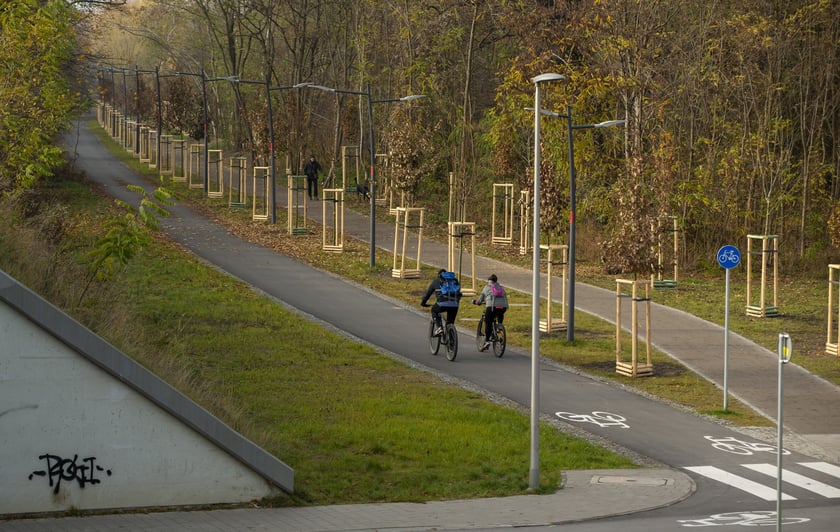 Promenada Krzycka
