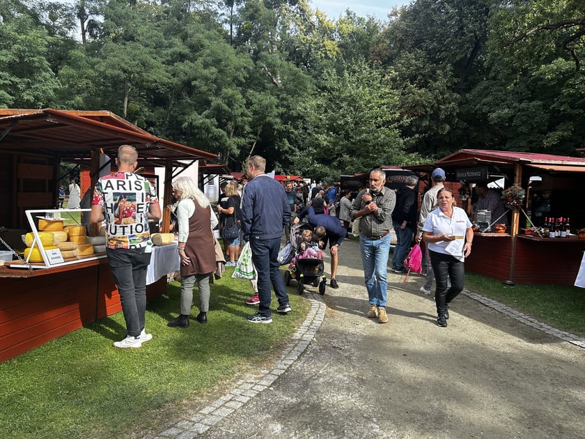 Święto sera i wina 2023 na wrocławskich Pawłowicach