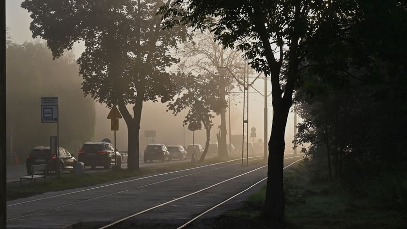 Zjawiskowy poranek na wrocławskich Złotnikach.