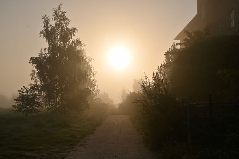 Zjawiskowy poranek na wrocławskich Złotnikach.