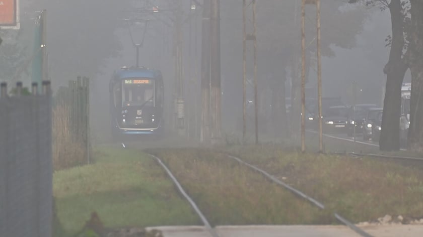Zjawiskowy poranek na wrocławskich Złotnikach.