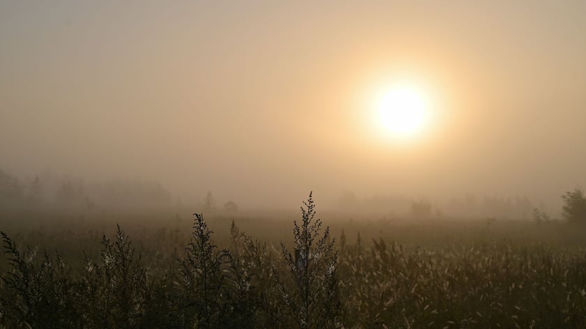 Zjawiskowy poranek na wrocławskich Złotnikach.