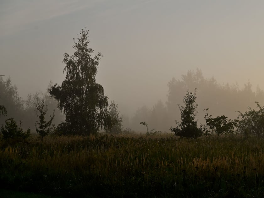 Zjawiskowy poranek na wrocławskich Złotnikach.