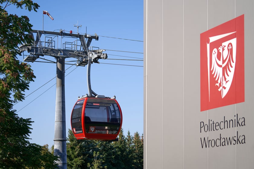 Polinka ma już 10 lat!
