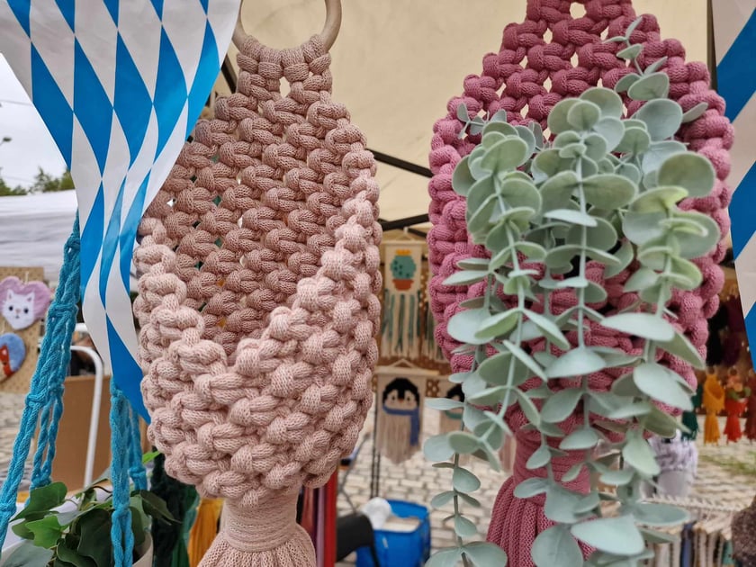 Festiwal roślin doniczkowych w Czasoprzestrzeni na Wielkiej Wyspie