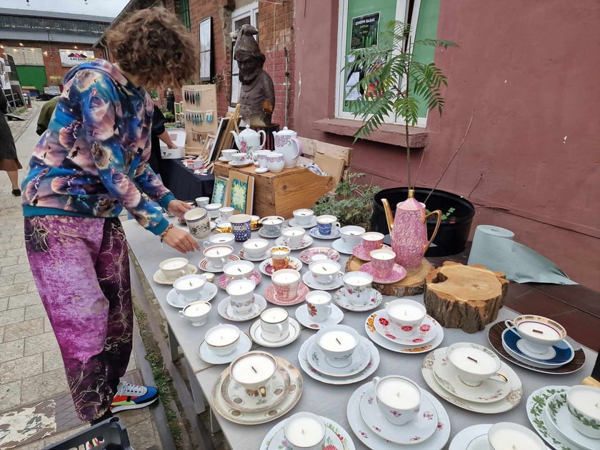 Festiwal roślin doniczkowych w Czasoprzestrzeni na Wielkiej Wyspie