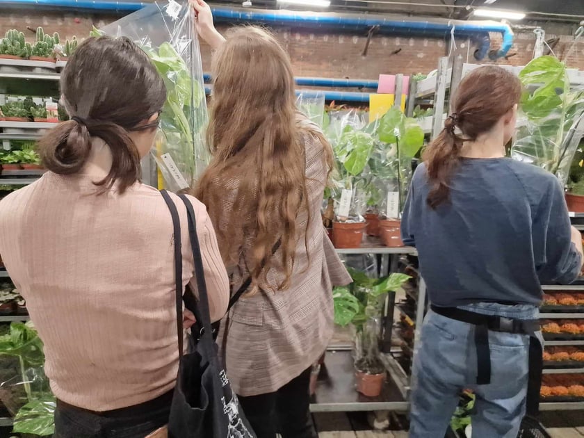 Festiwal roślin doniczkowych w Czasoprzestrzeni na Wielkiej Wyspie
