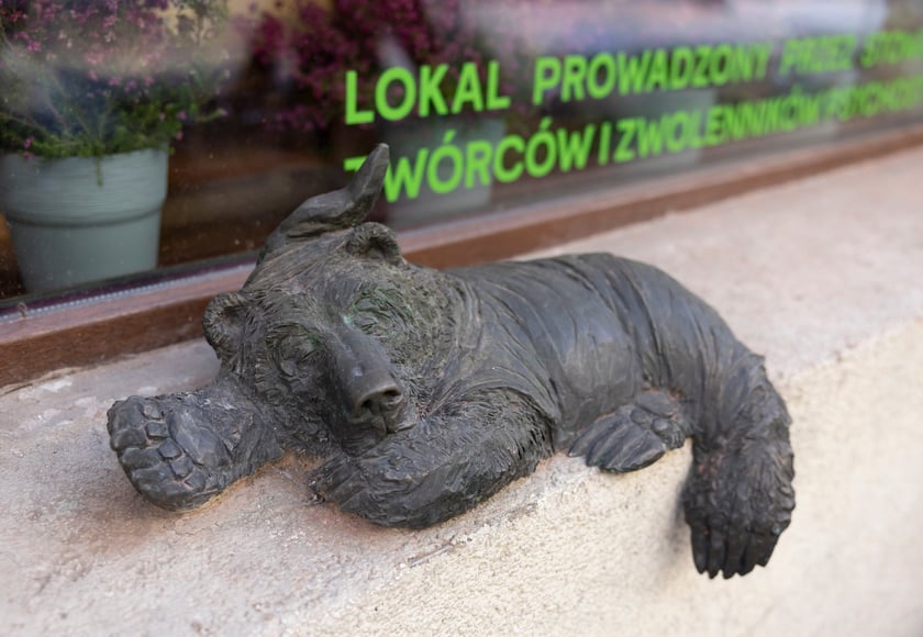 Cafe Równik znów działa!