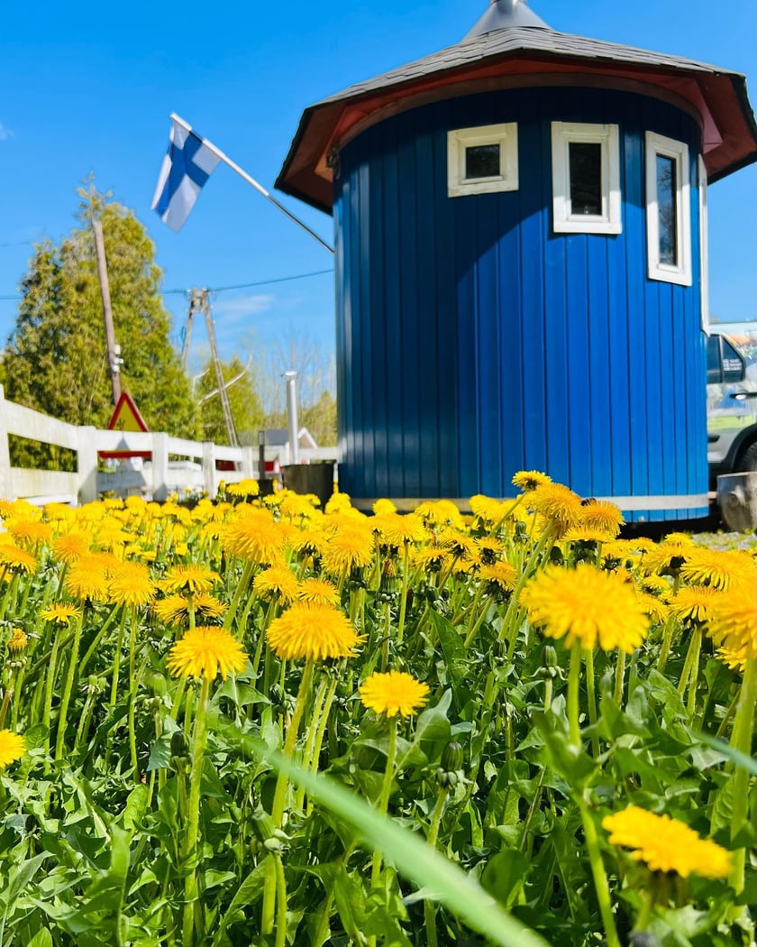Kalevala w Borowicach