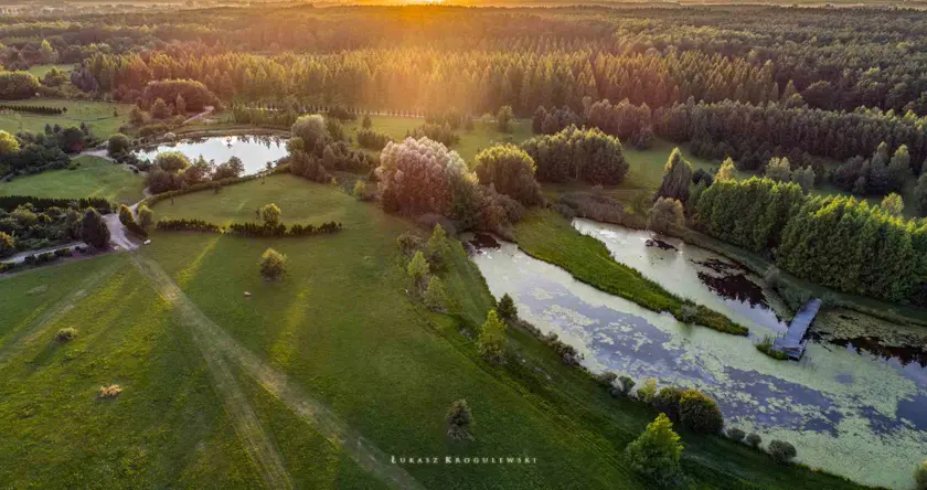 Arboretum Leśne