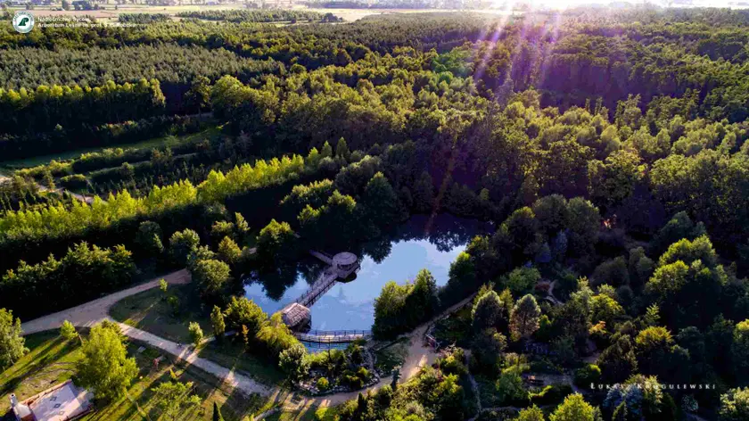 Arboretum Leśne