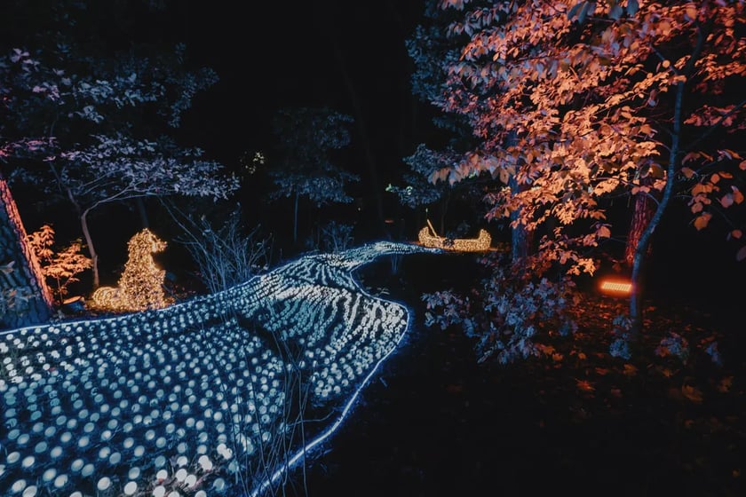 Lumina Park