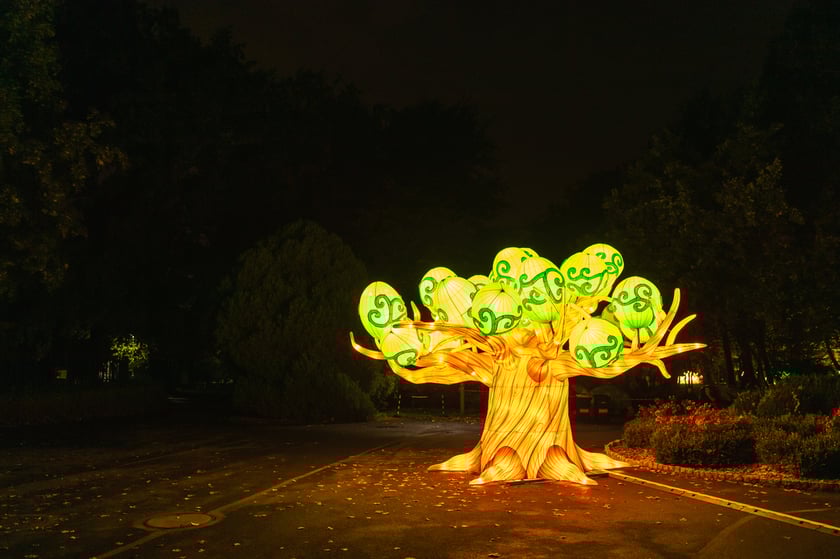 Garden of Lights - Ogród Świateł - wystawa "Dzika Afryka"