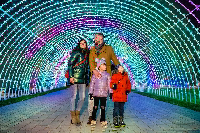 Garden of Lights