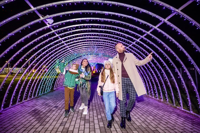 Garden of Lights