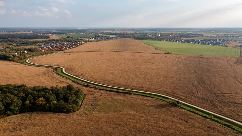 Modernizacja i rozbuodwa wałów przeciwpowodziowych nad Widawą