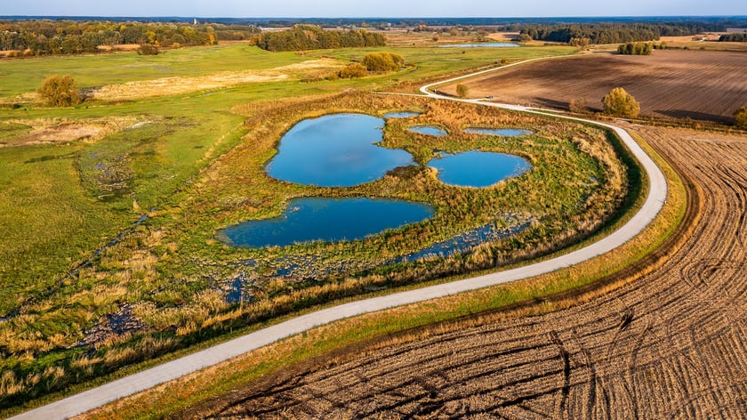 Modernizacja i rozbuodwa wałów przeciwpowodziowych nad Widawą