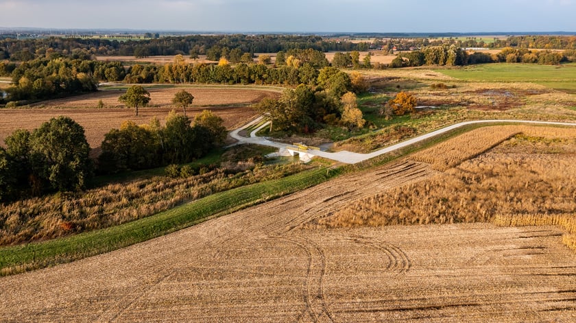 Modernizacja i rozbuodwa wałów przeciwpowodziowych nad Widawą