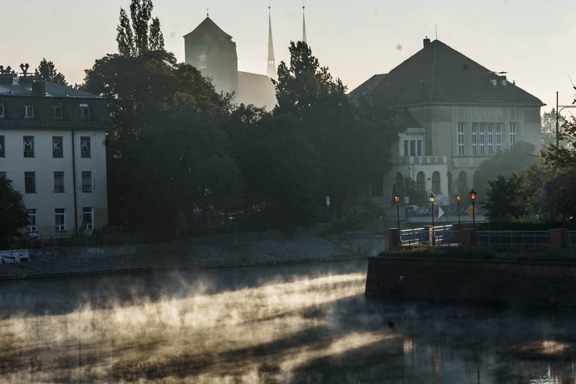 Piękne widoki w zamglony poranek