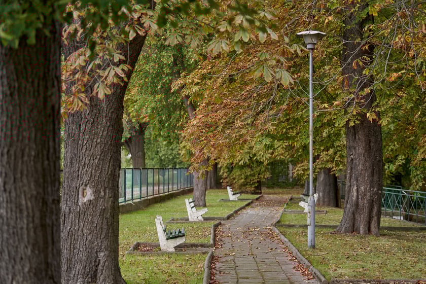 Zameczek Akademii Wychoawania Fizycznego przy ul. Rzeźbiarskiej we Wrocławiu