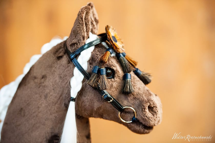 Wrocławska Liga Hobby Horse