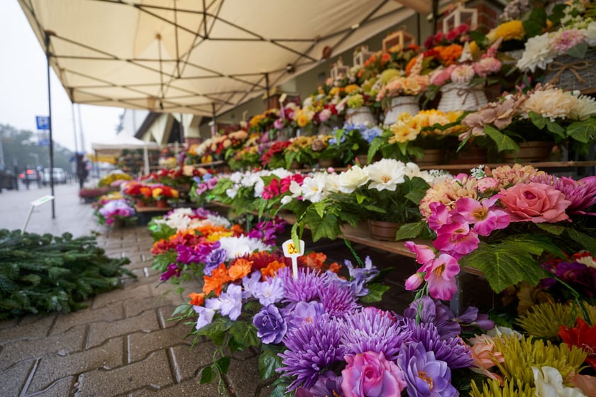 Kwiaty i znicze na groby w okresie Wszystkich Świętych. Od 25 października do 2 listopada, na terenach należących gminy Wrocław, są punkty sprzedaży zniczy i kwiatów.