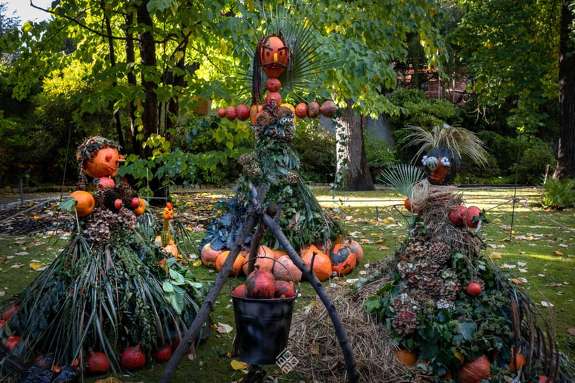 Jesień w Ogrodzie Botanicznym we Wrocławiu