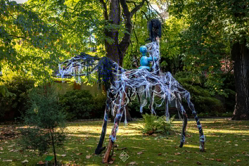 Jesień w Ogrodzie Botanicznym we Wrocławiu