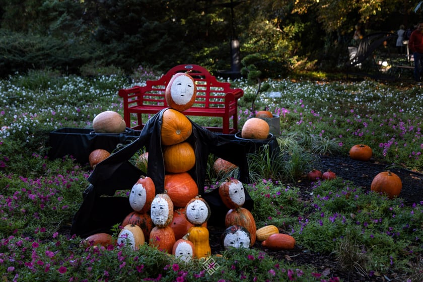 Jesień w Ogrodzie Botanicznym we Wrocławiu
