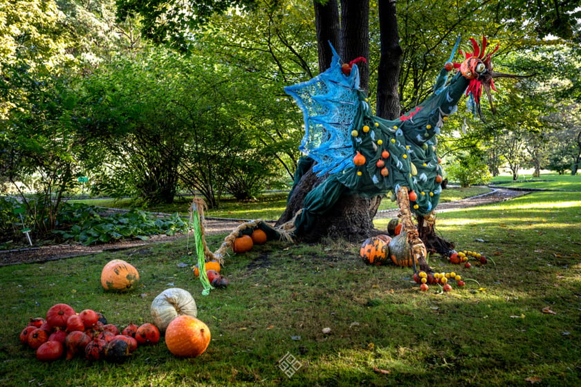 Jesień w Ogrodzie Botanicznym we Wrocławiu