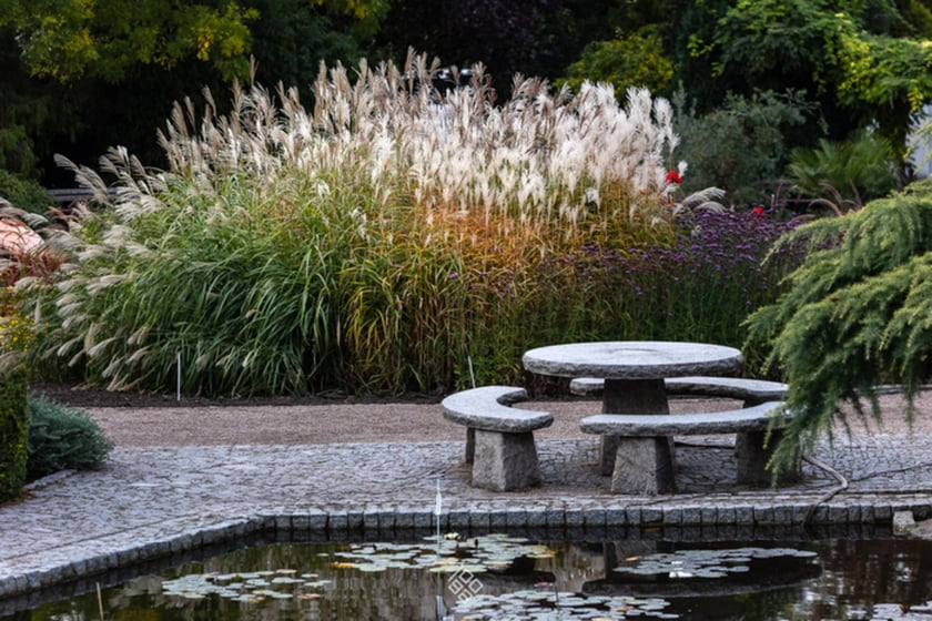 Jesień w Ogrodzie Botanicznym we Wrocławiu