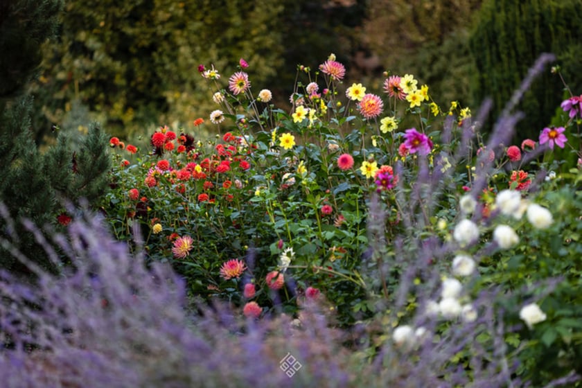 Jesień w Ogrodzie Botanicznym we Wrocławiu