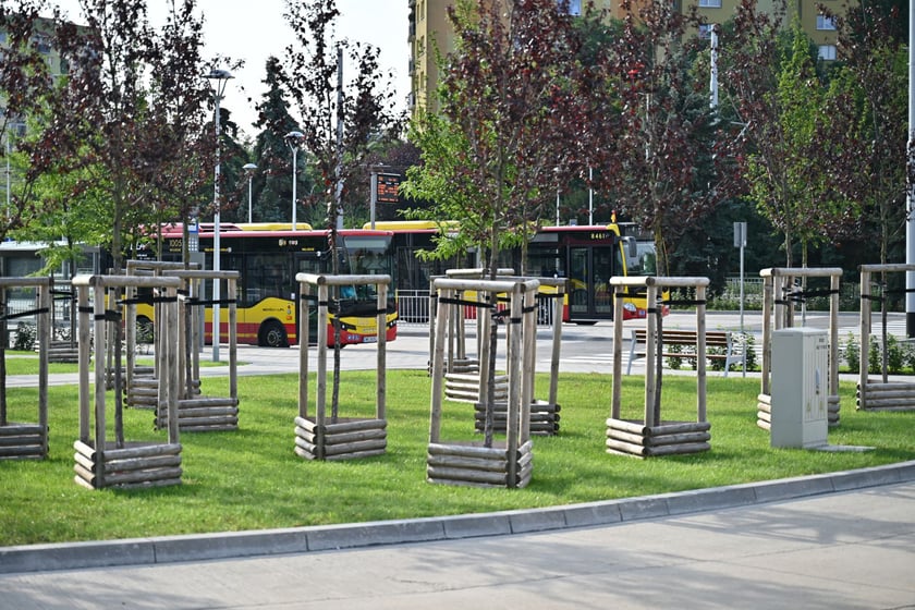 Trasa autobusowo-tramwajowa na Nowy Dwór.