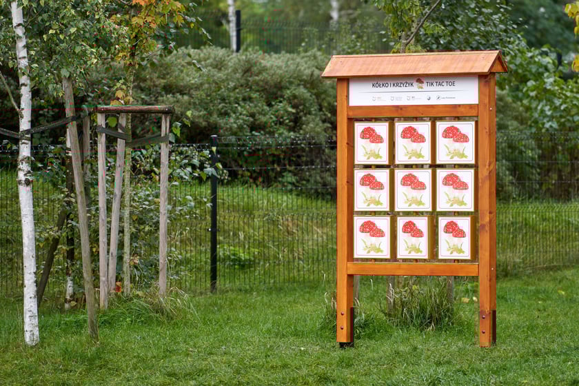 Otwarcie altany i ścieżki edukacyjnej w Dwujęzycznej Szkole Podstawowej ATUT we Wrocławiu