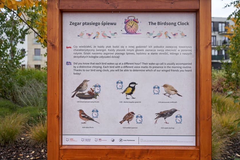 Otwarcie altany i ścieżki edukacyjnej w Dwujęzycznej Szkole Podstawowej ATUT we Wrocławiu