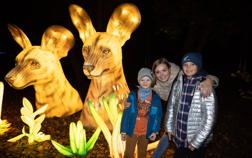 Garden of Lighst - Ogród Świateł - wystawa "Dzika Afryka" w zoo