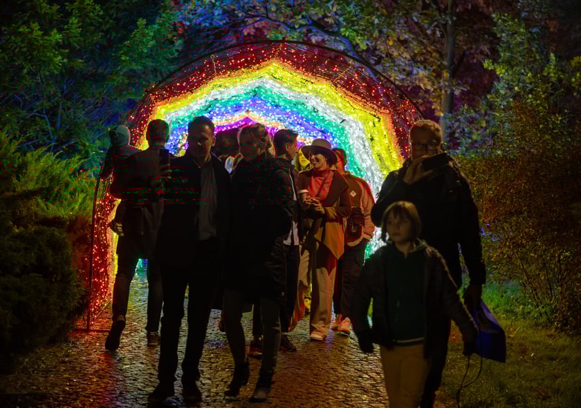 Garden of Lighst - Ogród Świateł - wystawa "Dzika Afryka" w zoo