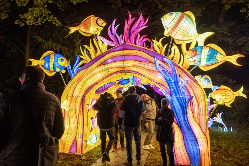 Garden of Lighst - Ogród Świateł - wystawa "Dzika Afryka" w zoo