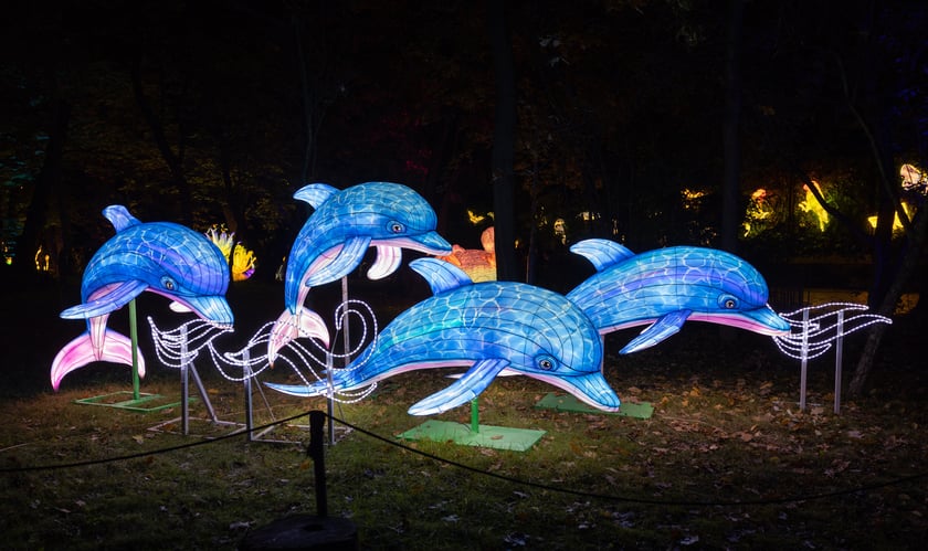 Garden of Lighst - Ogród Świateł - wystawa "Dzika Afryka" w zoo