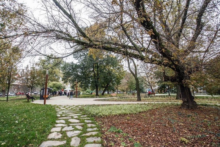 Oficjalne otwarcie skweru Czesława Niemena