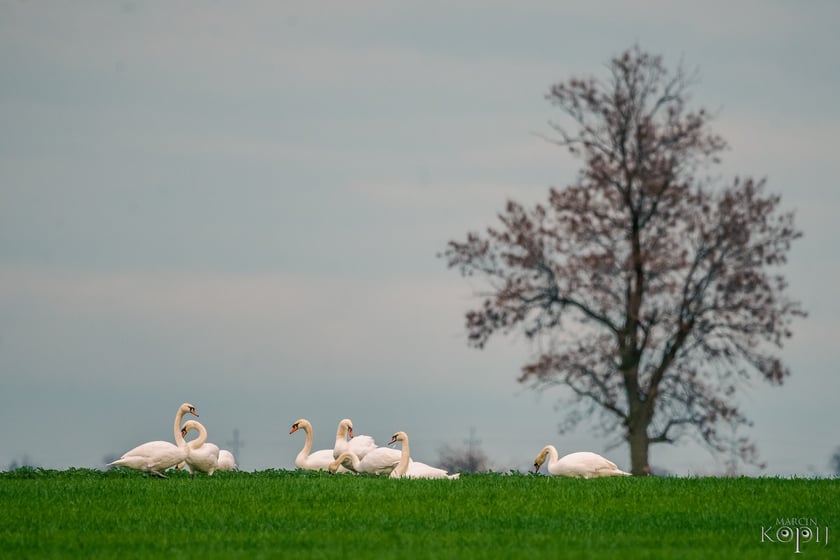 Jesień na Dolnym Śląsku