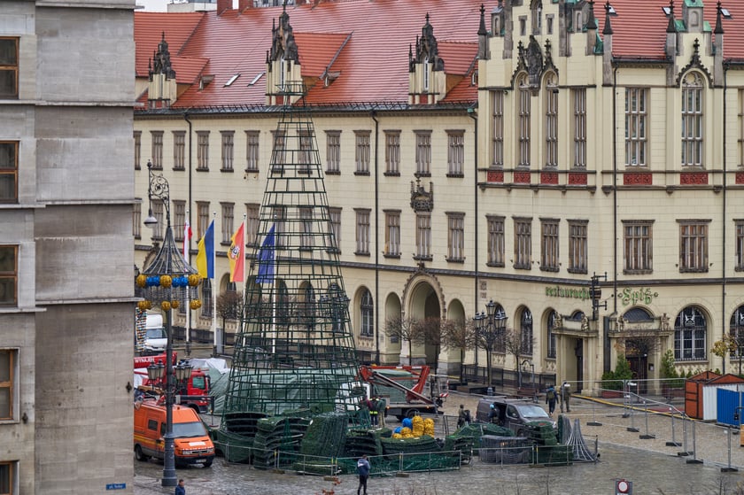 Montaż choinki na wrocławskim Rynku