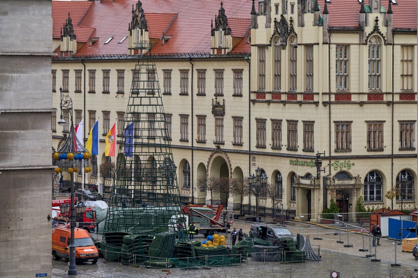 Montaż choinki na wrocławskim Rynku
