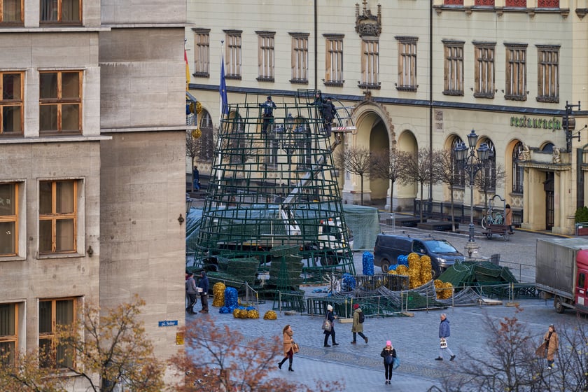 Montaż choinki na wrocławskim Rynku