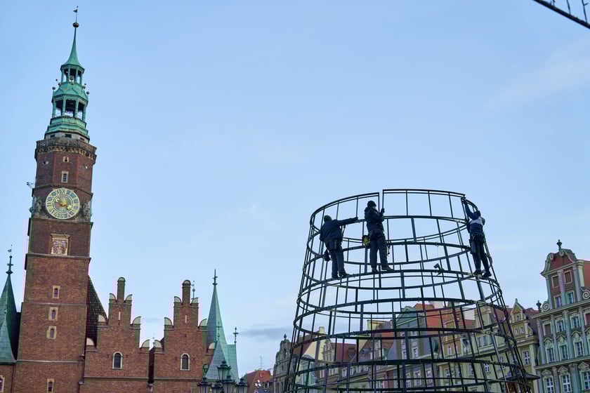 Montaż choinki na wrocławskim Rynku