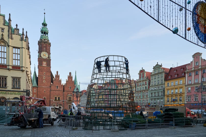 Montaż choinki na wrocławskim Rynku