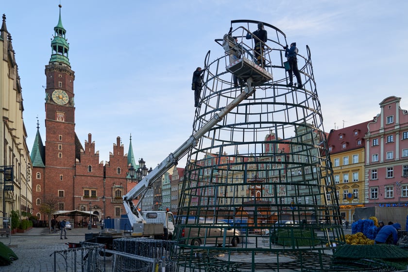 Montaż choinki na wrocławskim Rynku