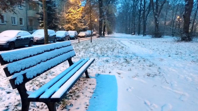 zima we Wrocławiu, 28.11.2023