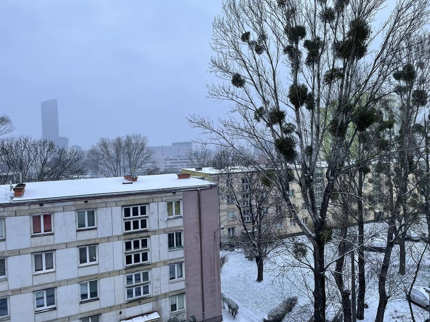 zima we Wrocławiu, 28.11.2023